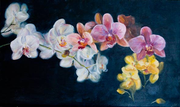 Картина Орхидея Маслом 70х60 - Евгения Корнеева